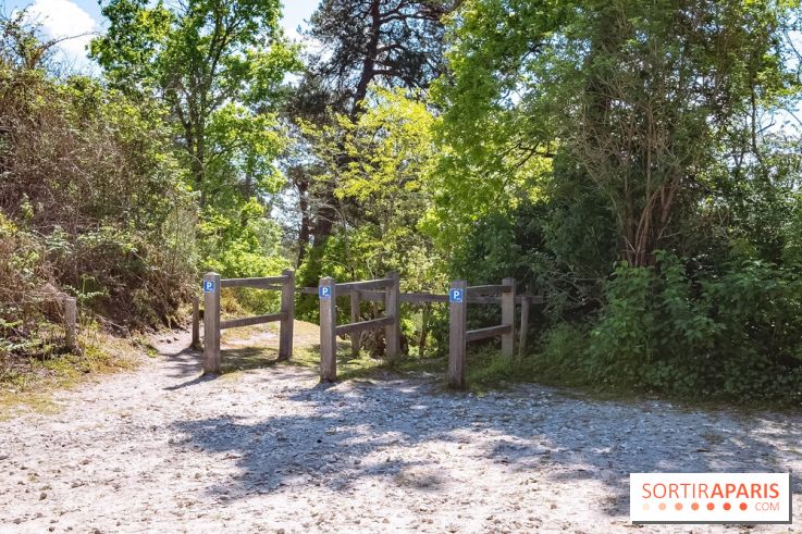 Liaisons douces à Fontainebleau : la forêt à vélo, les photos