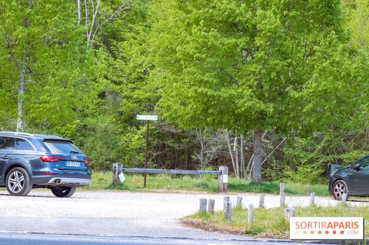 Liaisons douces à Fontainebleau : la forêt à vélo, les photos