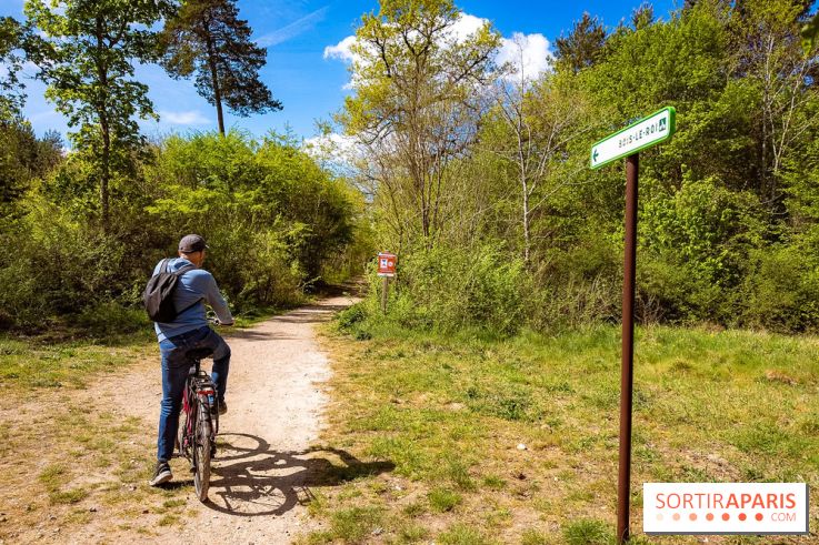 Liaisons douces à Fontainebleau : la forêt à vélo, les photos
