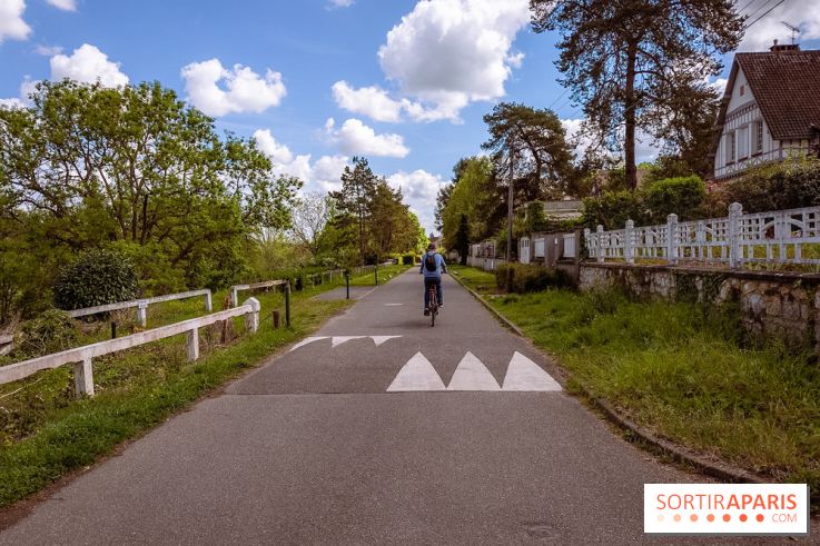 Liaisons douces à Fontainebleau : la forêt à vélo, les photos