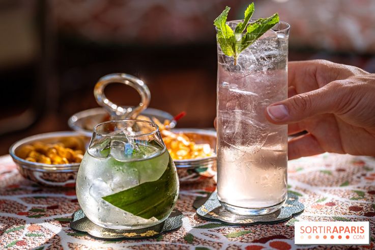 Le Rooftop du Fouquet's, bar à cocktail et cuisine fusion japonaise - photos