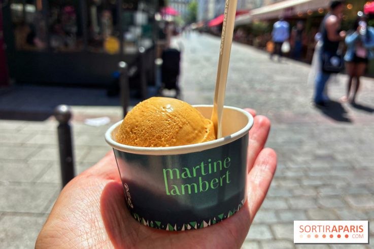 Glaces Martine Lambert
