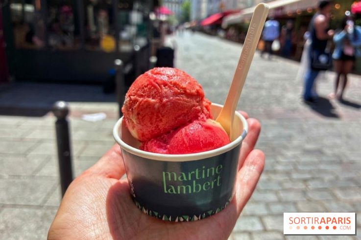 Glaces Martine Lambert - glacier