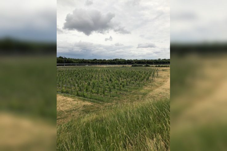 2ème édition du Viti-trail de 10 km du Domaine de Paris Gravelle Dimanche 6 septembre 2026