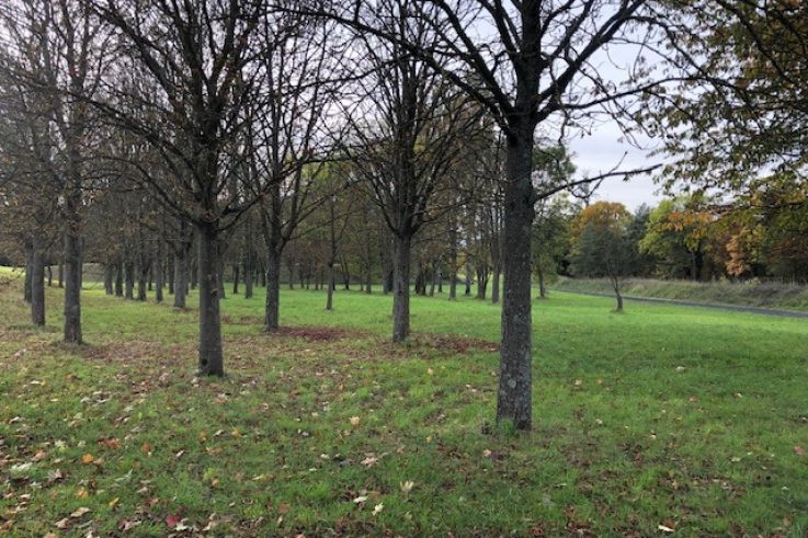 2ème édition du Viti-trail de 10 km du Domaine de Paris Gravelle Dimanche 6 septembre 2026
