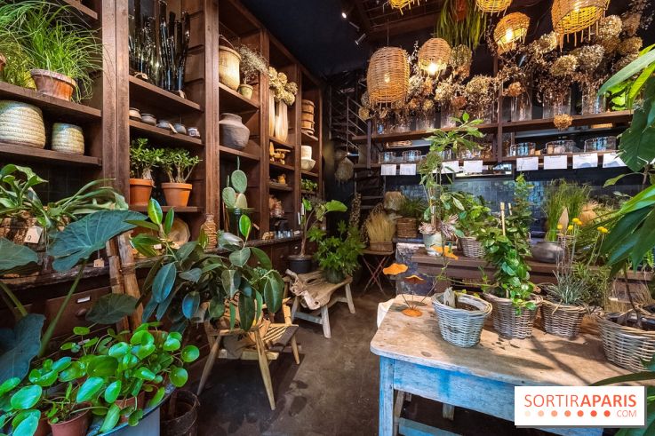 Mégie, la cantine botanique, boutique et atelier floral - photos