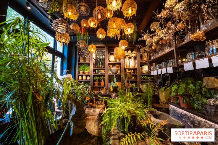 Mégie, la cantine botanique, boutique et atelier floral - photos