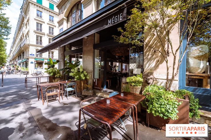 Mégie, la cantine botanique, boutique et atelier floral - photos