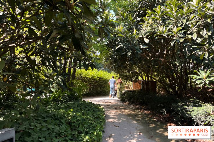 Le Jardin Claire Motte, square secret dans le 17e arrondissement