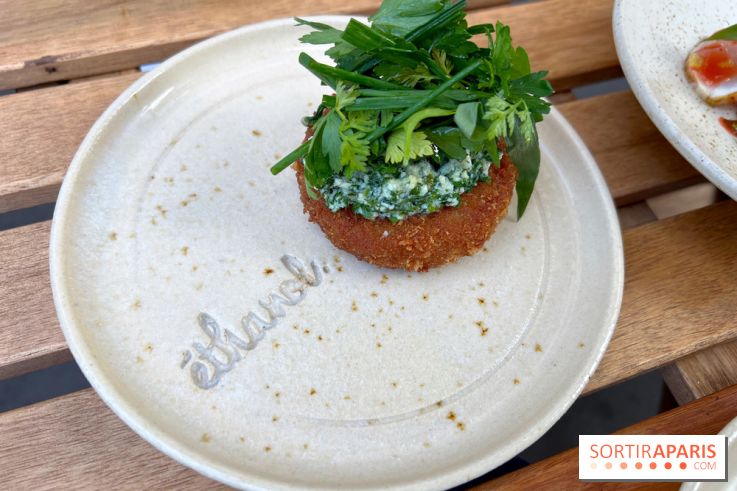 Ethanol - Croquettes de rillettes