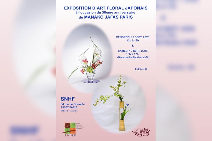 L’art floral japonais à l’honneur : plongez dans la poésie végétale au cœur de Paris !