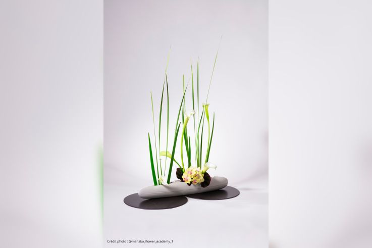 L’art floral japonais à l’honneur : plongez dans la poésie végétale au cœur de Paris !