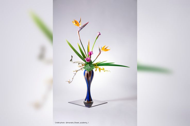L’art floral japonais à l’honneur : plongez dans la poésie végétale au cœur de Paris !