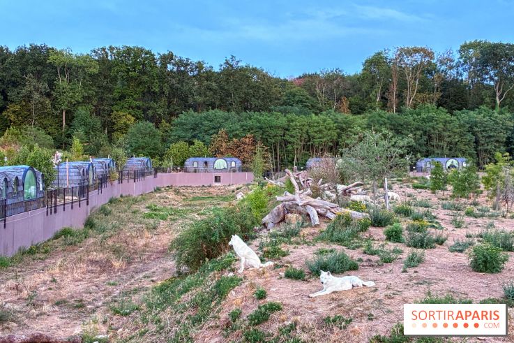Azimut, le restaurant du Zoo de Thoiry
