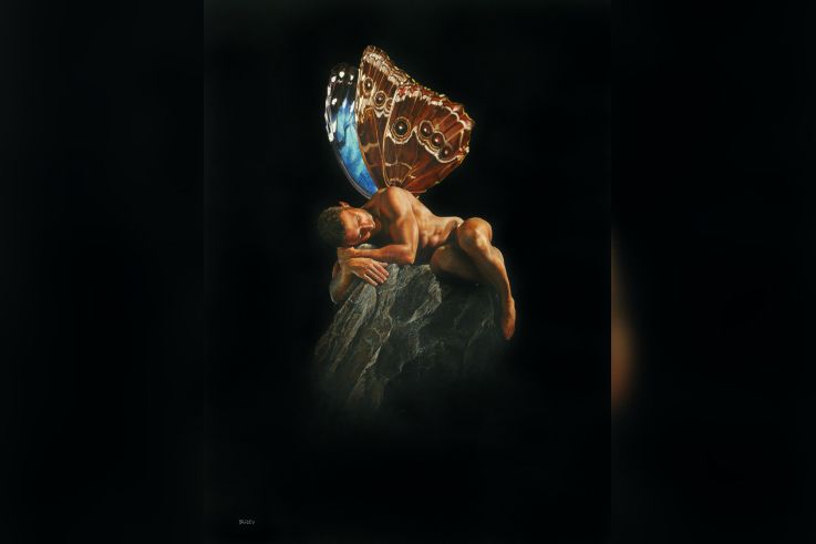 Campagne #37521 - SAILEV Morphoscuro 4MB