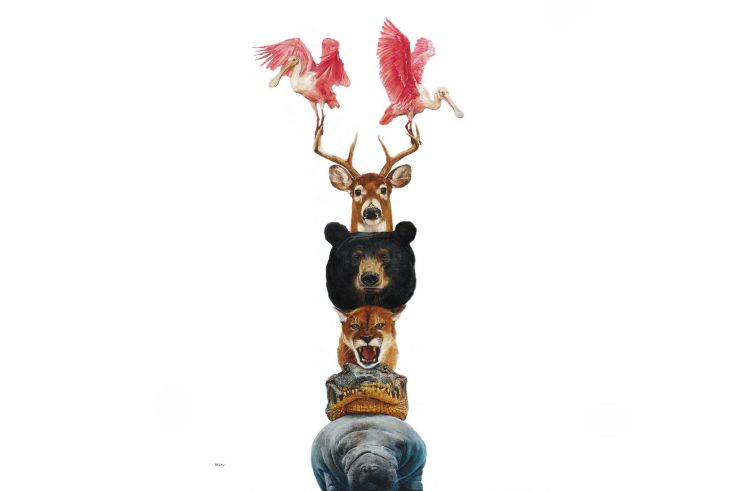 Campagne #37521 - SAILEV Totems of the Everglades 3MB