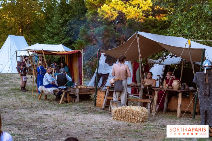 Gargenville : la Fête Médiévale viking au château de Rangiport 2026, les photos