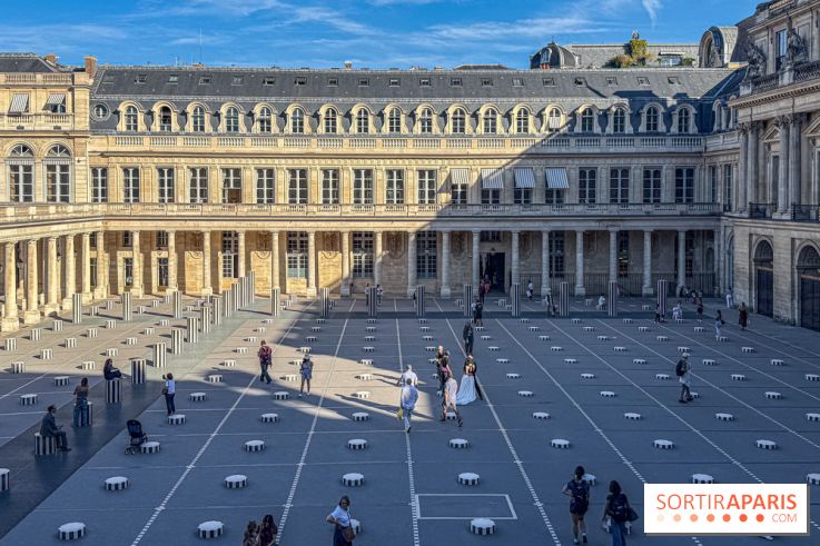 Visuels Conseil Constitutionnel