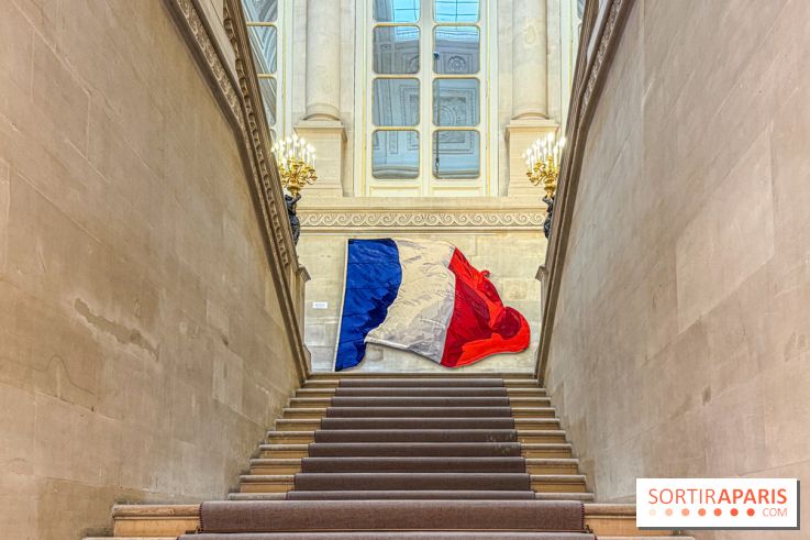 Visuels Conseil Constitutionnel