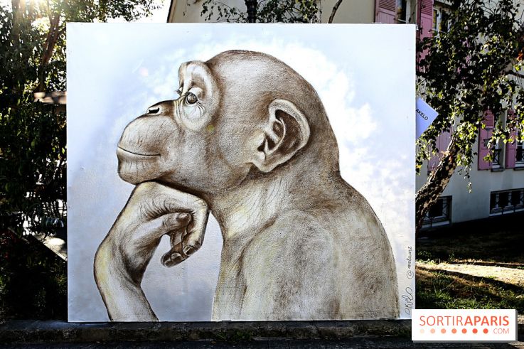 Festival de street art d'Antony 2026, nos photos