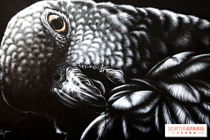 Festival de street art d'Antony 2026, nos photos