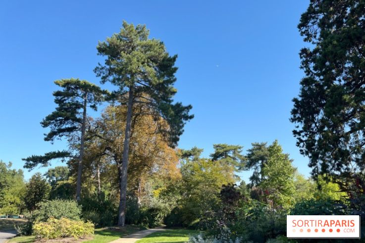 Le Jardin du Pré Catelan, un jardin dans le bois de Boulogne