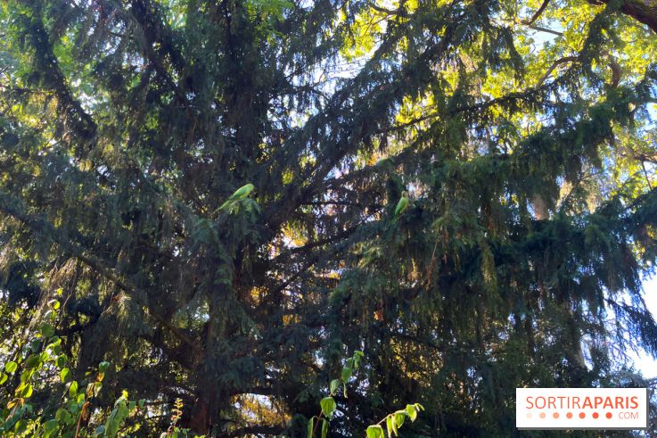 Le Jardin du Pré Catelan, un jardin dans le bois de Boulogne