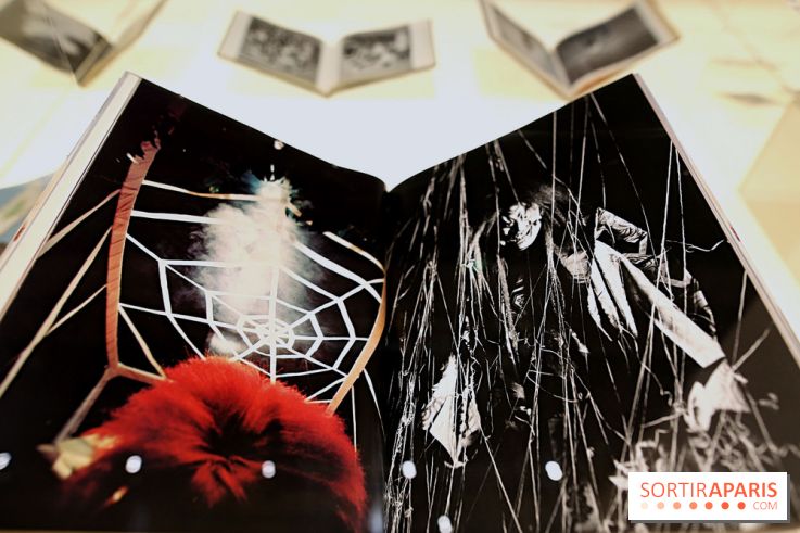 Photographies japonaises de la BnF - nos photos de l'exposition