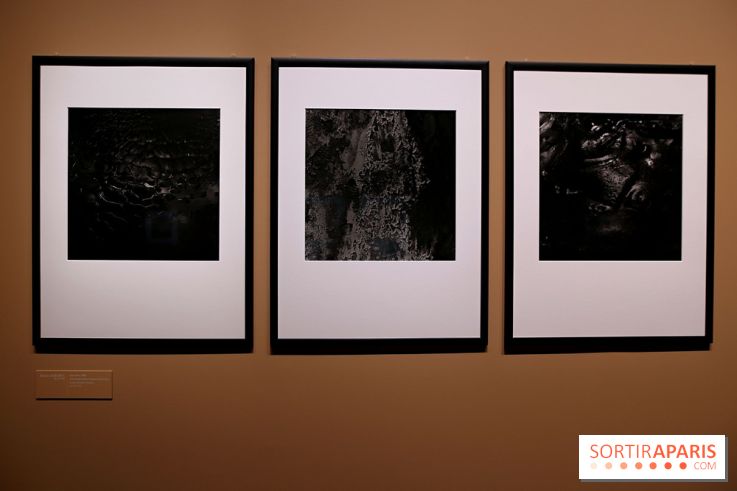Photographies japonaises de la BnF - nos photos de l'exposition