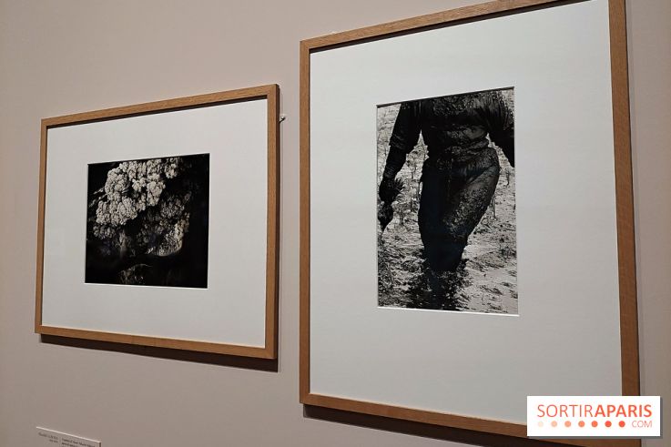Photographies japonaises de la BnF - nos photos de l'exposition