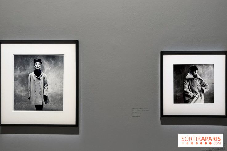 Irving Penn