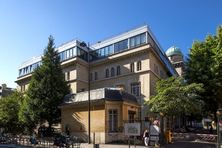 Saveurs savantes : la Fête de la Science investit Sorbonne Université avec plus de 80 activités gratuites - su vbourdon high