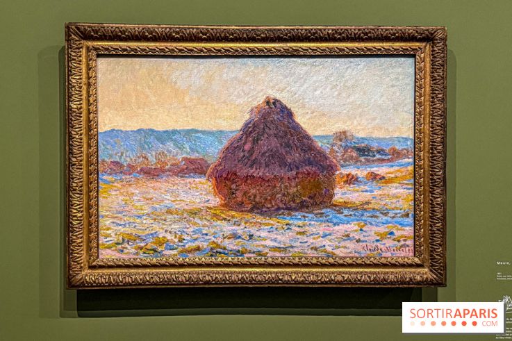 Monet, peindre le temps : l'exposition événement au musée de l’Orangerie