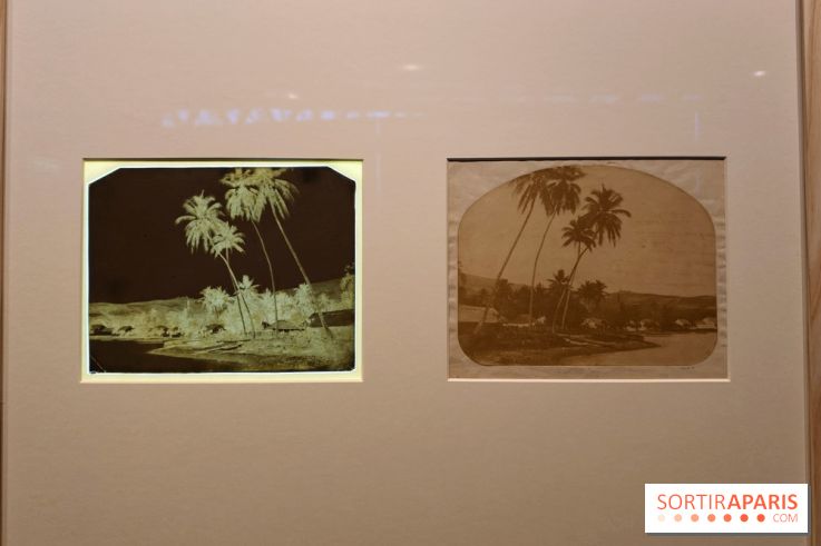 Voir Tahiti : une exposition qui dévoile les premières photos du XIXe siècle au musée du Quai Branly