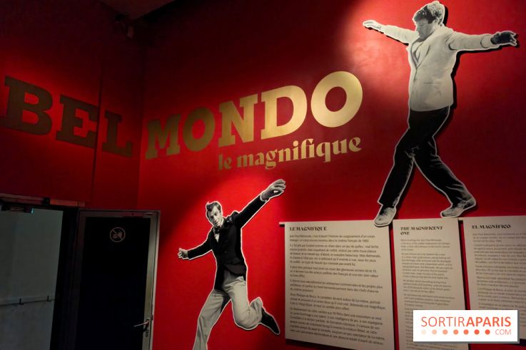 Belmondo le magnifique : l'icône du cinéma français au cœur d'une exposition à la Cinémathèque