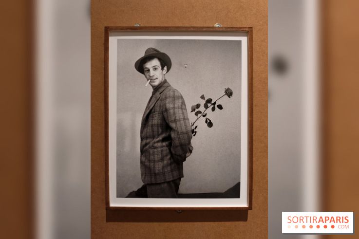 Belmondo le magnifique : l'icône du cinéma français au cœur d'une exposition à la Cinémathèque