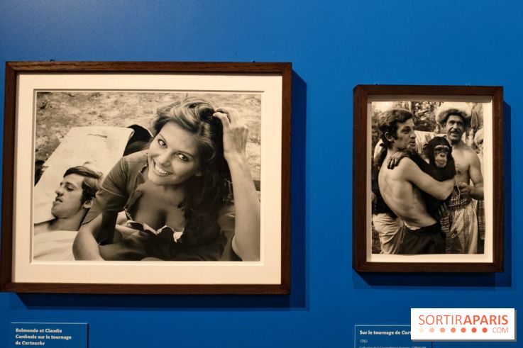 Belmondo le magnifique : l'icône du cinéma français au cœur d'une exposition à la Cinémathèque