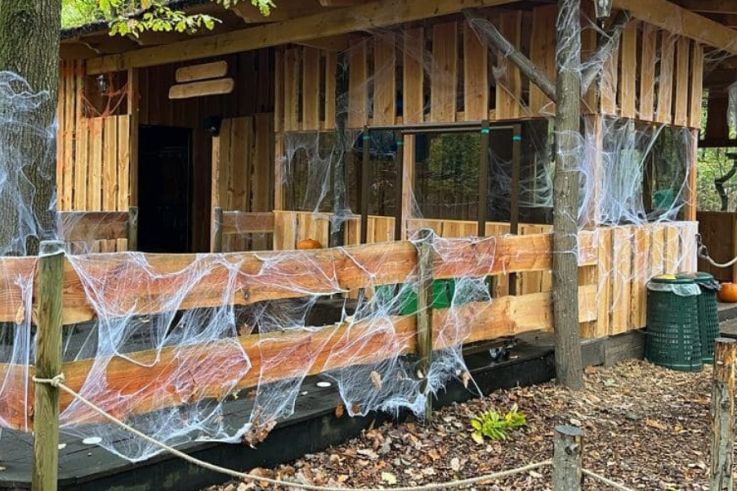 Halloween 2026 à Aventure Floreval (91) : labyrinthe hanté et accrobranche nocturne en forêt