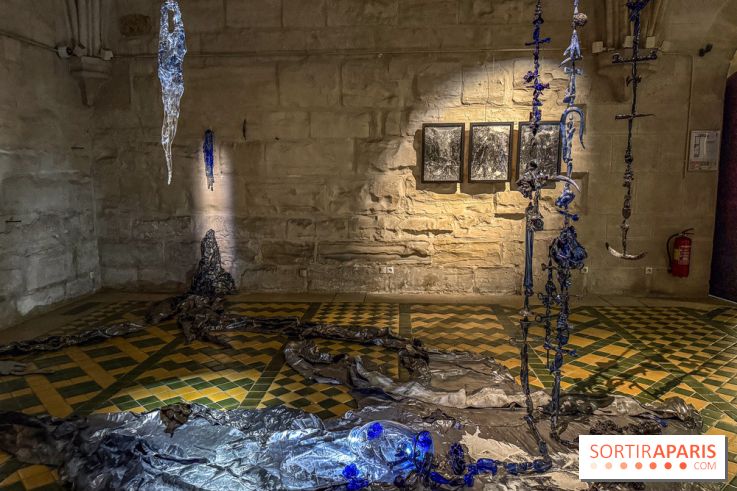 Cosmofania à l'Abbaye de Maubuisson : l'expo qui révèle le sacré et les mondes invisibles