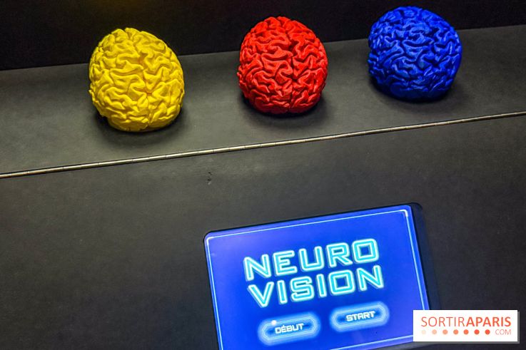 Magie à la Cité des sciences, l'expo qui explique pourquoi on se fait avoir