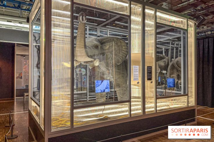 Magie à la Cité des sciences, l'expo qui explique pourquoi on se fait avoir