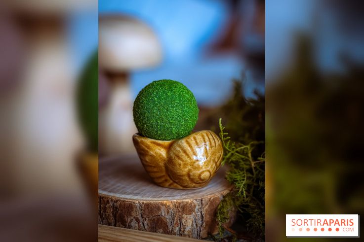 L'Ermitage Saint-Antoine, le charmant restaurant gastronomique à Barbizon
