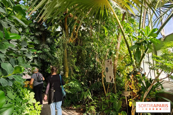 Automne tropical 2026