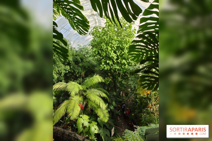 Automne tropical 2026