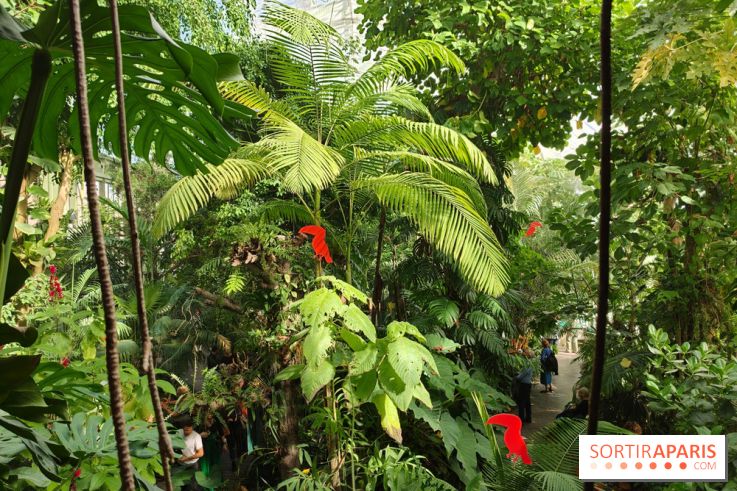 Automne tropical 2026