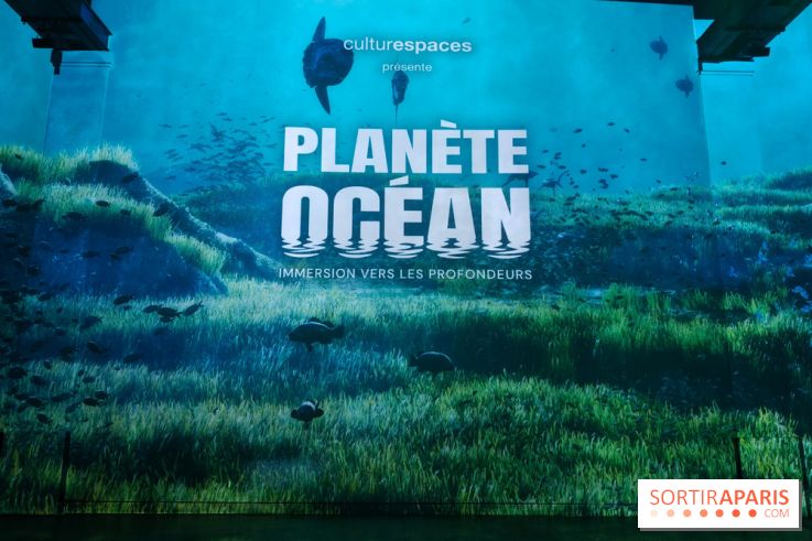 Plongez à la découverte de Planète Océan, l’exposition immersive de l’Atelier des Lumières
