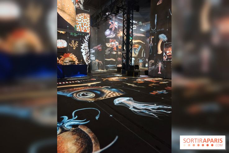 Plongez à la découverte de Planète Océan, l’exposition immersive de l’Atelier des Lumières