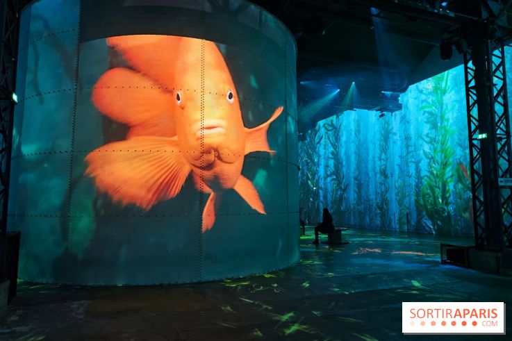 Plongez à la découverte de Planète Océan, l’exposition immersive de l’Atelier des Lumières