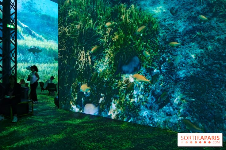 Plongez à la découverte de Planète Océan, l’exposition immersive de l’Atelier des Lumières