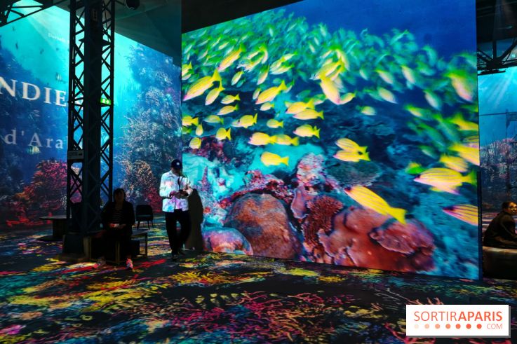 Plongez à la découverte de Planète Océan, l’exposition immersive de l’Atelier des Lumières